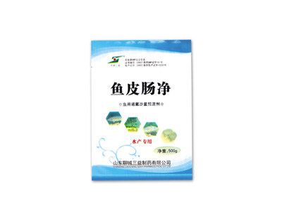 鱼皮肠净